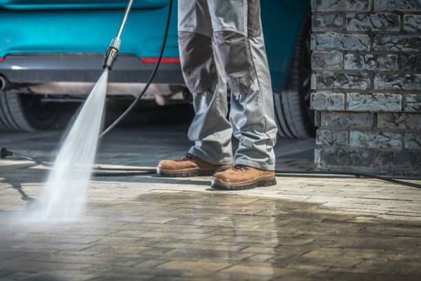 Best Graffiti Removal  in Eastwood, MI