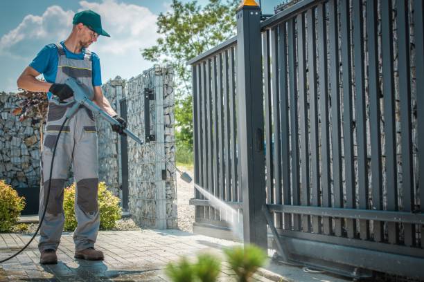 Best Solar Panel Cleaning  in Eastwood, MI