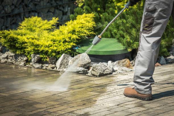 Best Gutter Cleaning  in Eastwood, MI