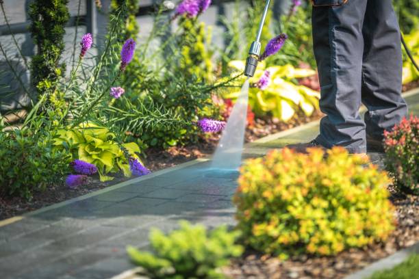 Best Parking Lot and Garage Cleaning  in Eastwood, MI