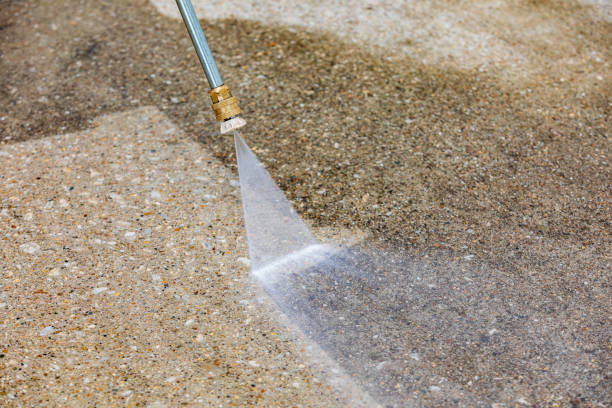 Best Sign and Awning Cleaning  in Eastwood, MI