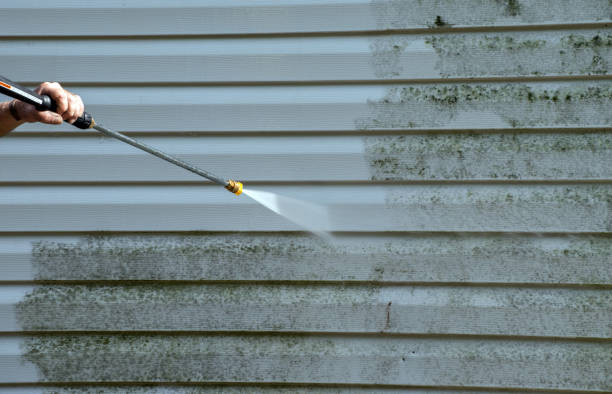 Best Patio and Deck Pressure Washing  in Eastwood, MI
